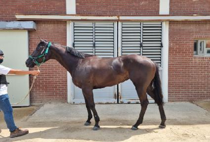 �Թ��� ����