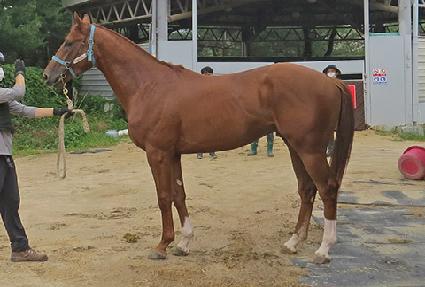 �ְ����� ����