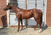 ������Ǯ (SUCCESSFUL) ����