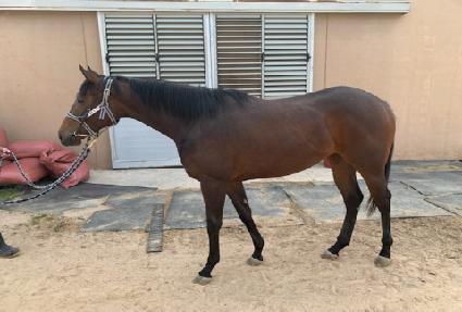 �ö�����ġ ����