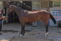 ���Ǻ��� (SINUI BLUE) ����