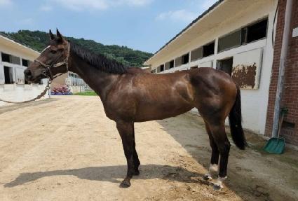 �۽�Ʈ�޴� ����