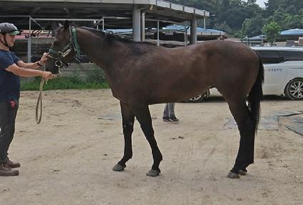 �帲���� ����