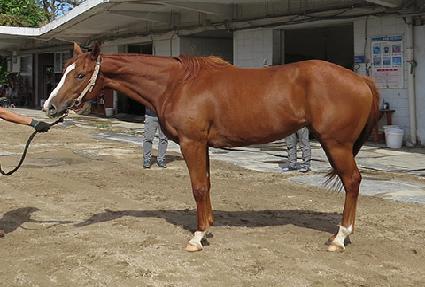 �޴ϻ�ũ ����