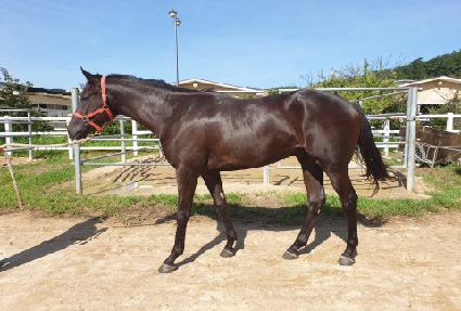 ��������� ����