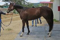 �и�����Ƽ (MILLION PARTY) ����