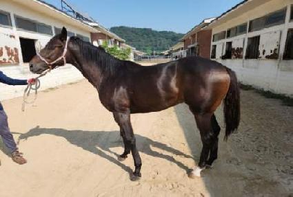 ��� ����