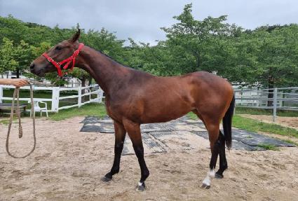 ������ ����