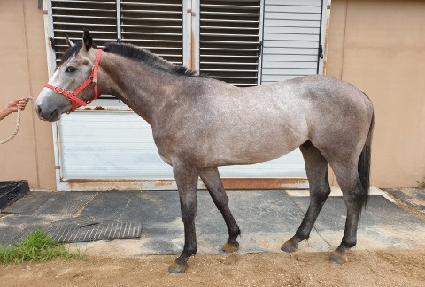 �Ѱ����̹� ����