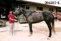 ��ó�� (BOM CHEU NYO) ����