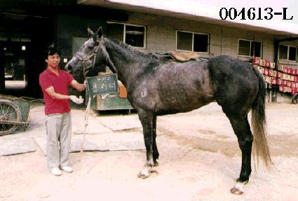 ��ó�� ����