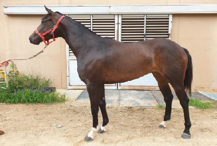 ����Ǯ�� ����