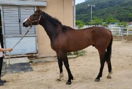 ��¹��� ����