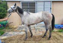 ������� (END GAME) ����