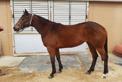 ������� ����