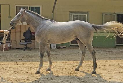 ��帶��Ƽ ����