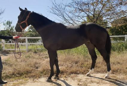 �ؽ�Ʈ���� ����