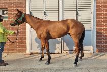 �����ͺ� (MACH TURBO) ����