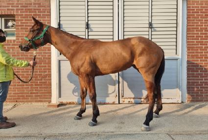 �����ͺ� ����