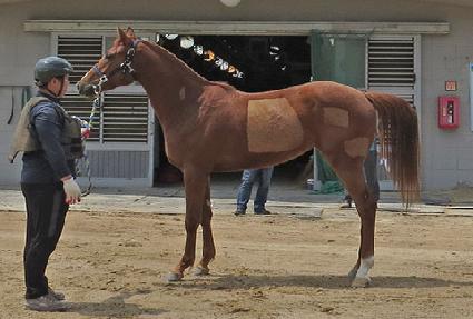 �Ѱ����� ����