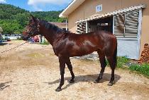 �Ͼص�� (ROCK AND ROLL) ����