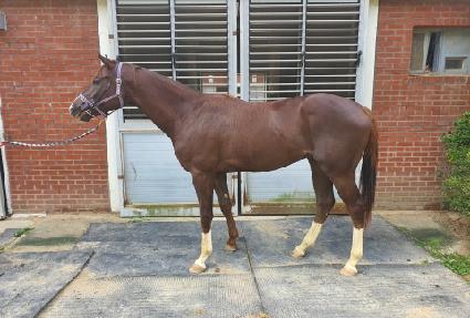 ��Ű��� ����