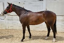 ������� (GANGSEO RUDA) ����