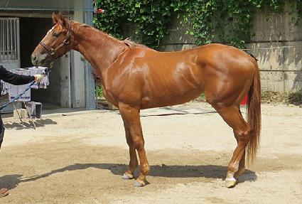 ��ƶ����� ����