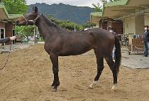 ������ (JEONGSEONG QUEEN) ����