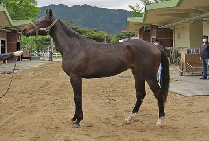 ������ ����