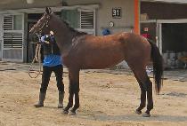 �����Ȱ� (SAEBYEOK ANGAE) ����