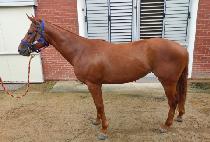 �ǹ� (PIMI) ����