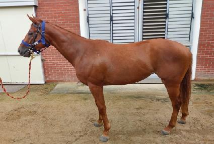 �ǹ� ����