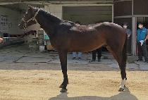 ����Ŭ���� (JANGHEUNG CLASS) ����