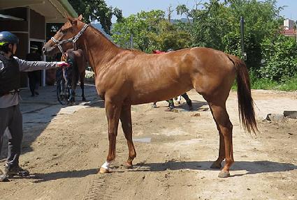 �ܵ� ����