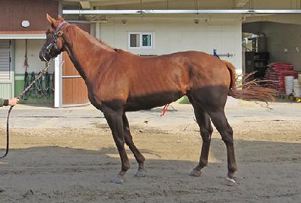 Ŭ������ ����