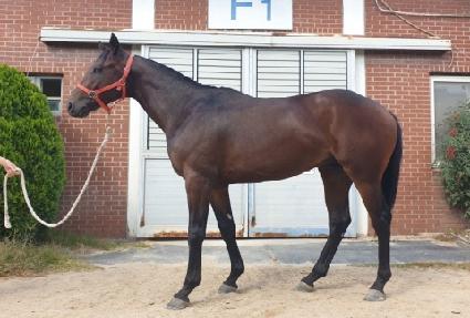 ��Ȧ���� ����