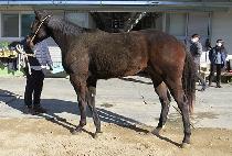 ��ŰƼ���� (OH KITTY DAY) ����