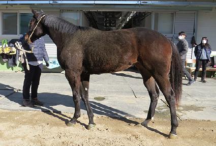 ��ŰƼ���� ����