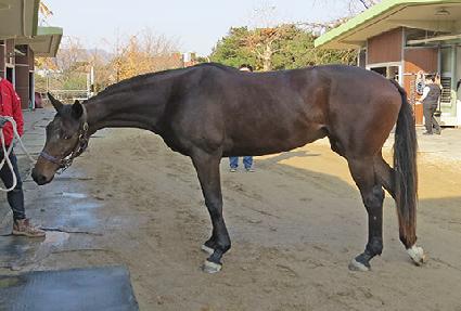 �����丮 ����