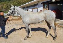 ������Ÿ (MAGARITA) ����