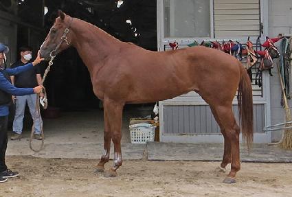 �������� ����