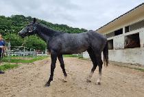 ����õ�� (SEONGSIL CHEONHA) ����