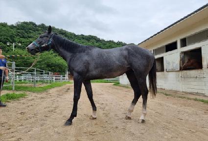 ����õ�� ����