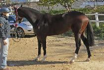 ����÷���ũ (JANGSAN FLAKE) ����