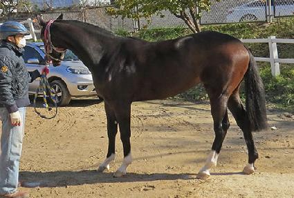 ����÷���ũ ����