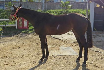 �������� ����