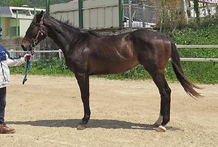 ��������̵� ����