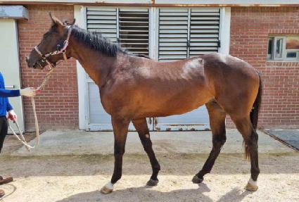 ������� ����