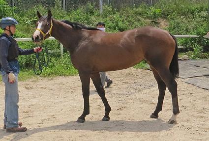 ���ǰ�����ũ ����